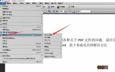 pdf文档如何转换为word文档,pdf文档如何转换成word格式