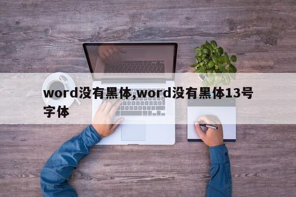 word没有黑体,word没有黑体13号字体
