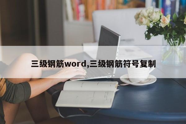 三级钢筋word,三级钢筋符号复制