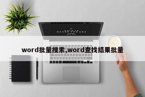 word批量搜索,word查找结果批量