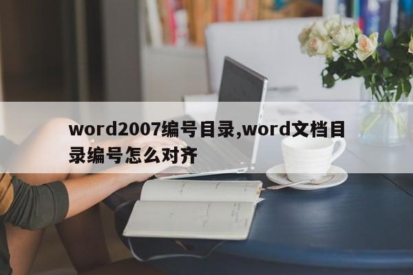 word2007编号目录,word文档目录编号怎么对齐