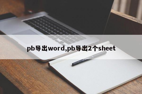 pb导出word,pb导出2个sheet
