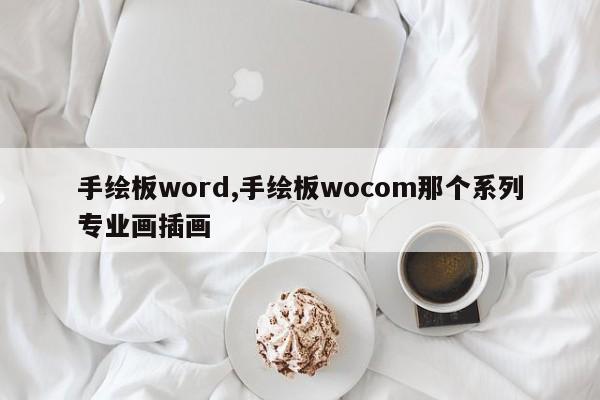 手绘板word,手绘板wocom那个系列专业画插画