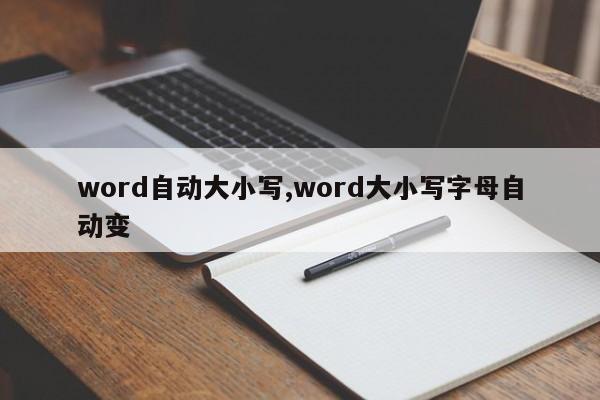 word自动大小写,word大小写字母自动变