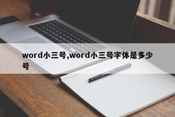 word小三号,word小三号字体是多少号