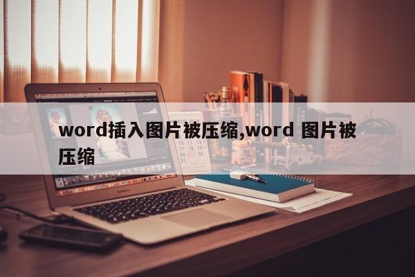 word插入图片被压缩,word 图片被压缩