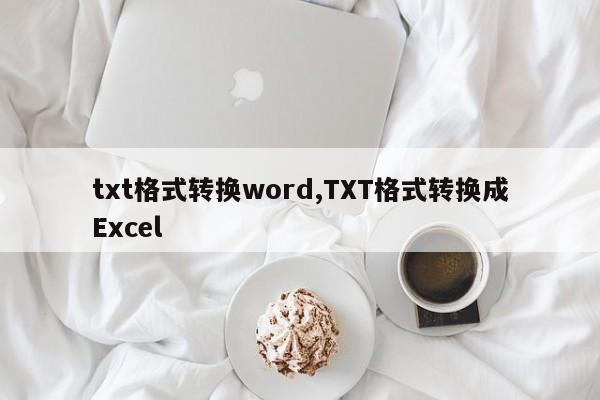 txt格式转换word,TXT格式转换成Excel