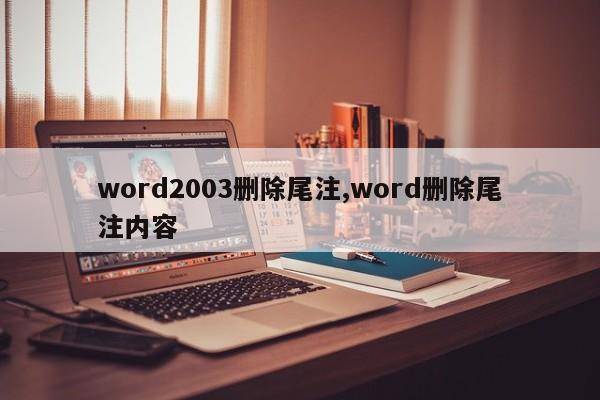 word2003删除尾注,word删除尾注内容