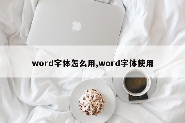word字体怎么用,word字体使用