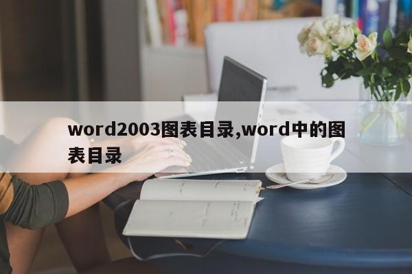 word2003图表目录,word中的图表目录