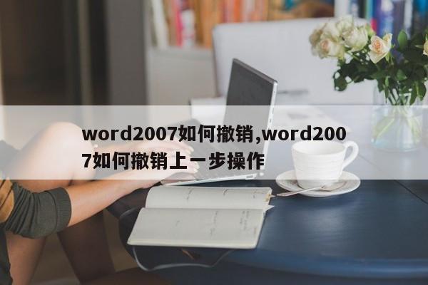 word2007如何撤销,word2007如何撤销上一步操作