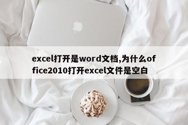 excel打开是word文档,为什么office2010打开excel文件是空白