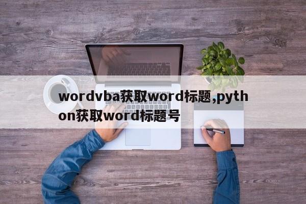wordvba获取word标题,python获取word标题号