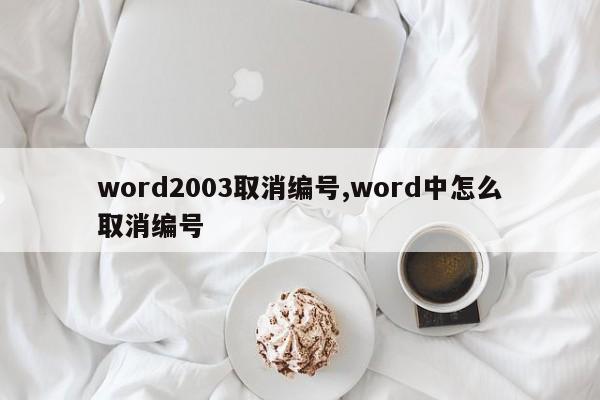 word2003取消编号,word中怎么取消编号