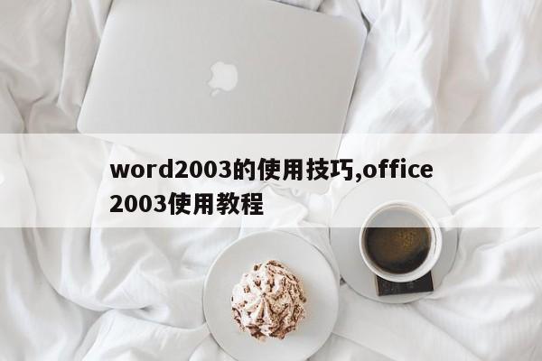word2003的使用技巧,office2003使用教程