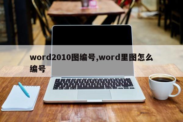 word2010图编号,word里图怎么编号