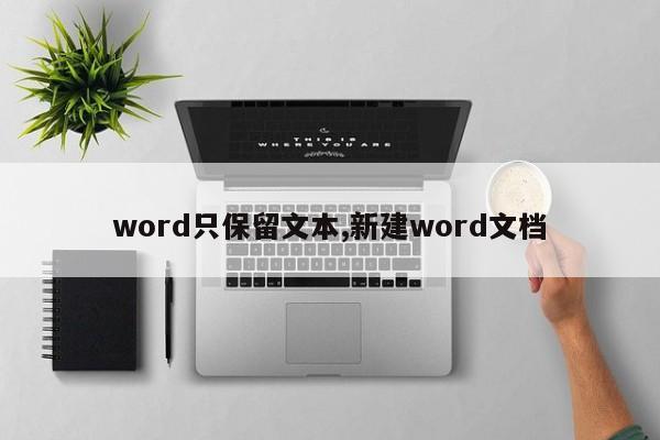 word只保留文本,新建word文档