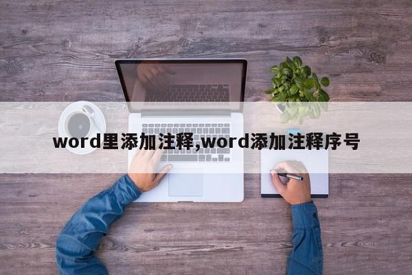 word里添加注释,word添加注释序号