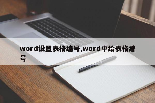 word设置表格编号,word中给表格编号