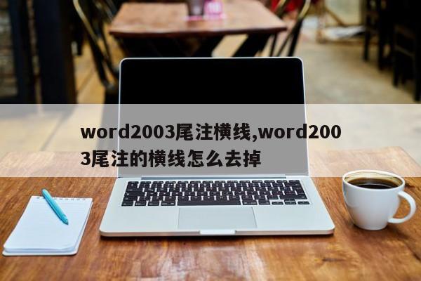 word2003尾注横线,word2003尾注的横线怎么去掉