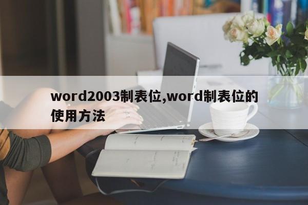 word2003制表位,word制表位的使用方法