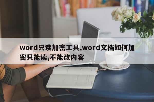 word只读加密工具,word文档如何加密只能读,不能改内容