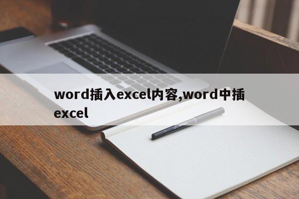 word插入excel内容,word中插excel