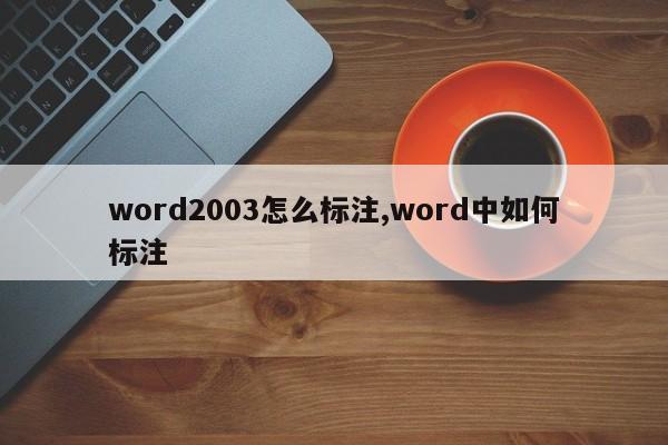 word2003怎么标注,word中如何标注