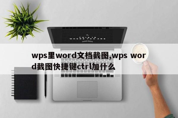 wps里word文档截图,wps word截图快捷键ctrl加什么